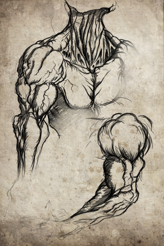 sketchesess.jpg