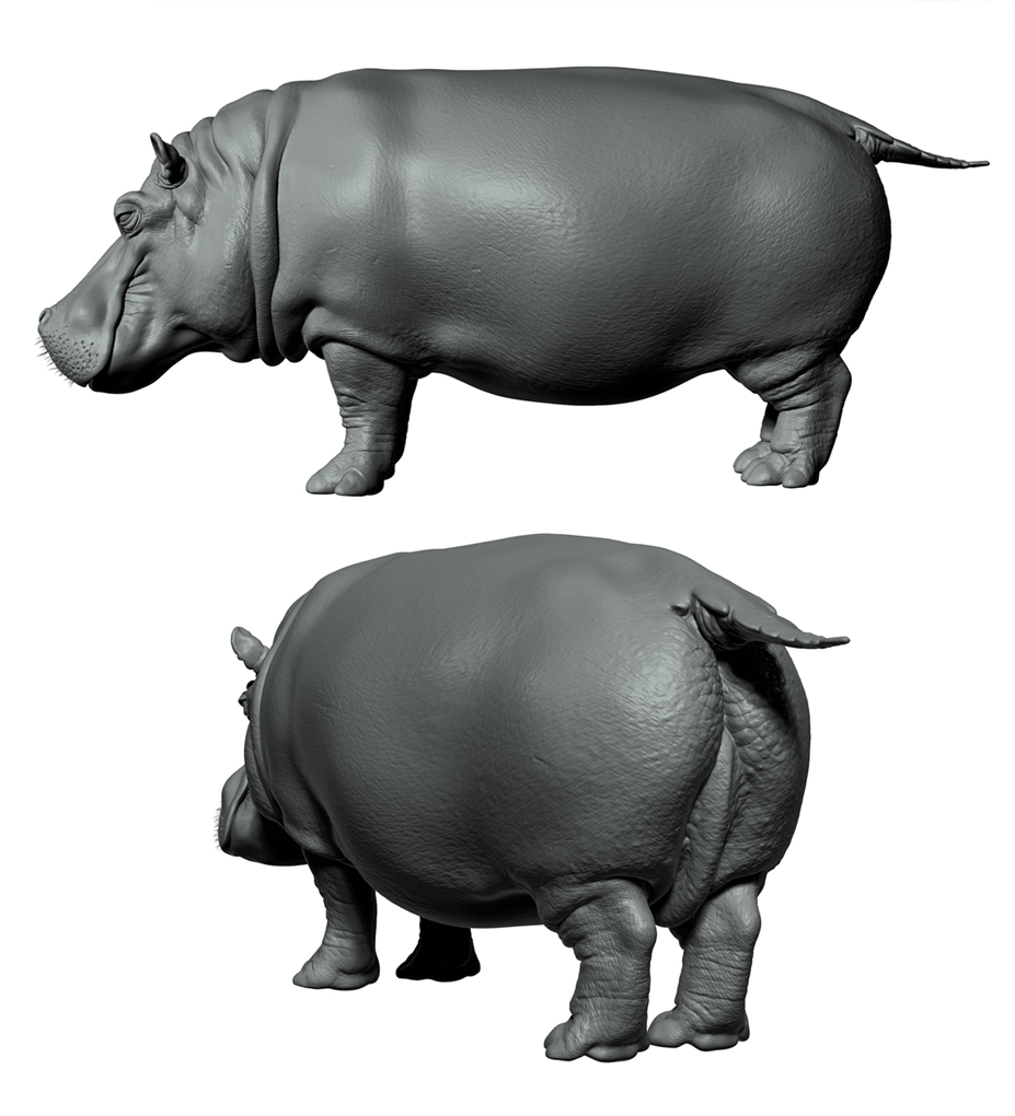 Hippo_Z_SideRear.jpg