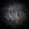 fur2Alpha.jpg