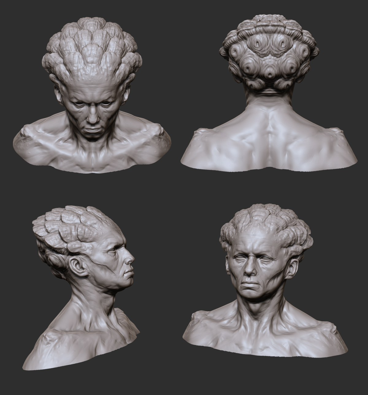head_x1.jpg