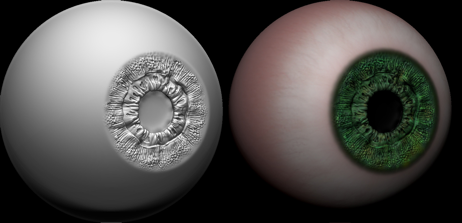 ZBrush Documentq.jpg