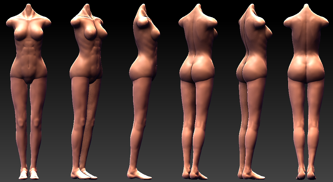 body+leg.jpg
