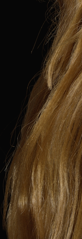 test_0171530372.jpg