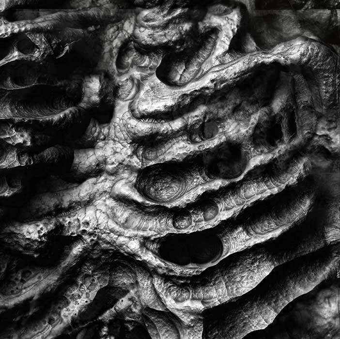 Ribs_Detail_01.jpg