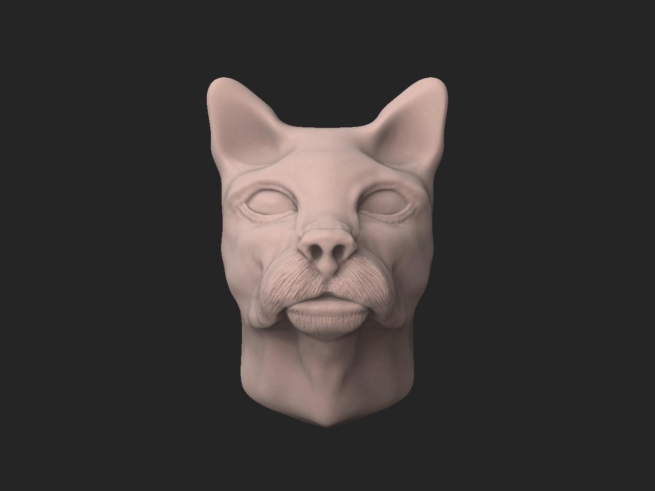 cat head front.JPG