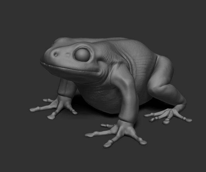 Frog4.jpg