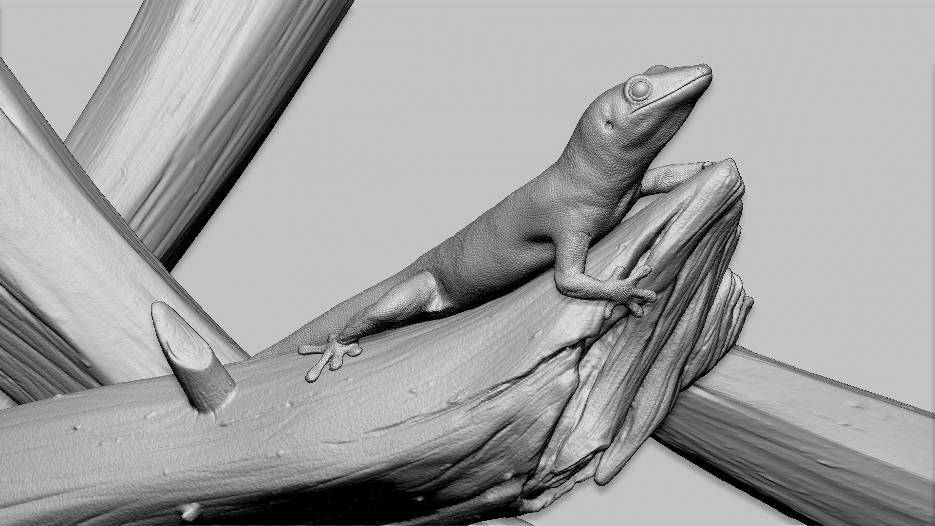 Gecko-Zbrush-viewport.jpg