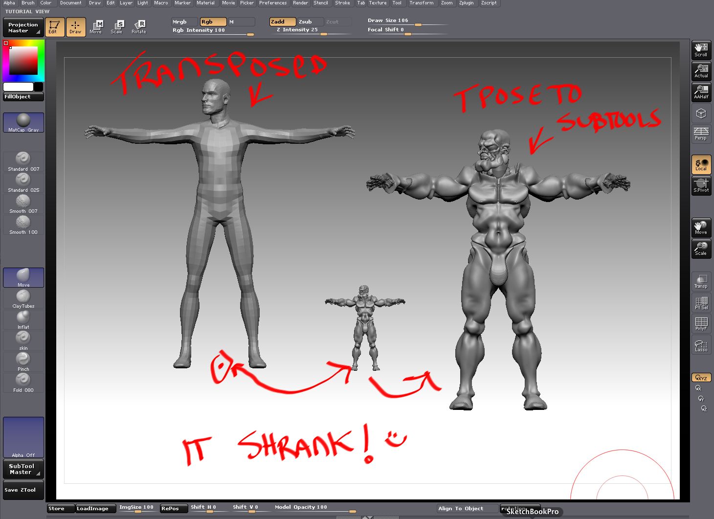 transpose master 02.jpg