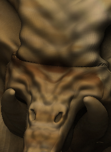 ZBrush Document.jpg