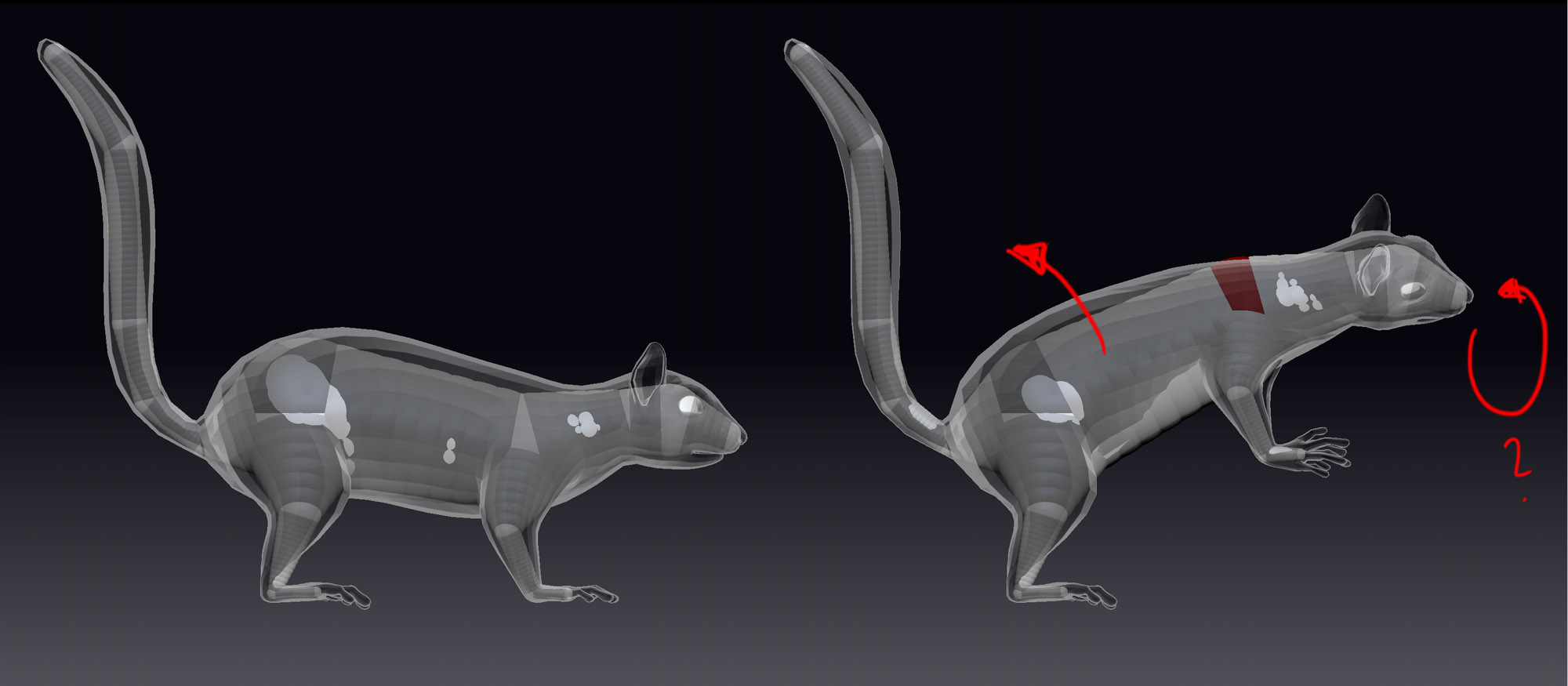 rigging.jpg