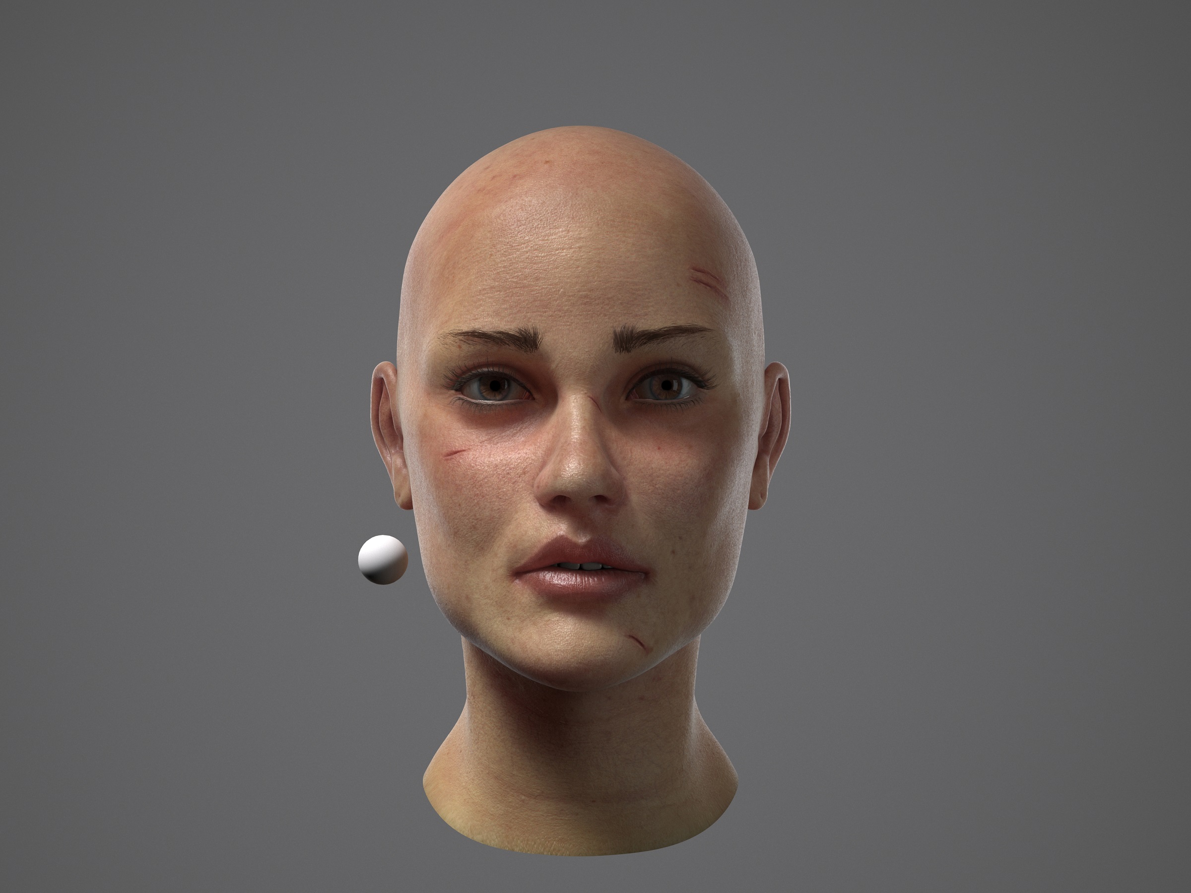 Vray-00014LOW.jpg