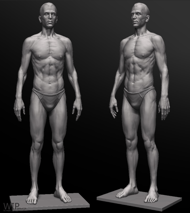 male_wip01b.jpg