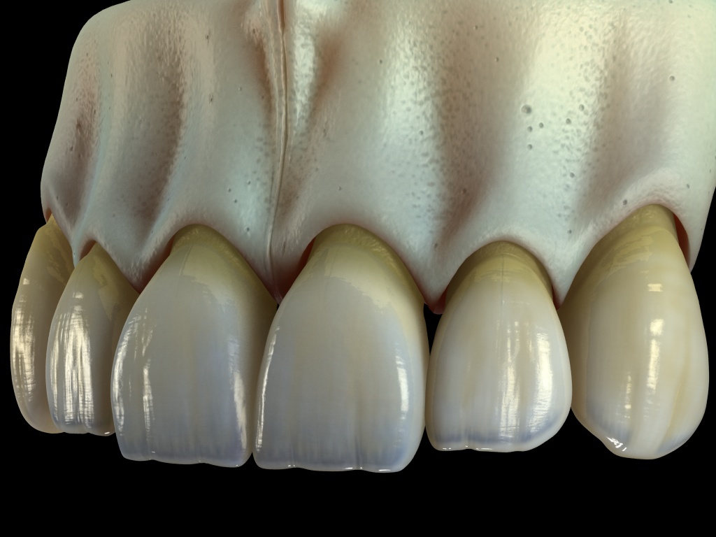 hueso+dientes4.jpg