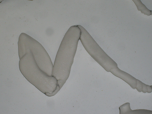 SDC12759.jpg