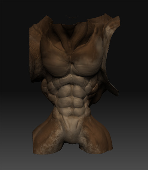 Torso.jpg