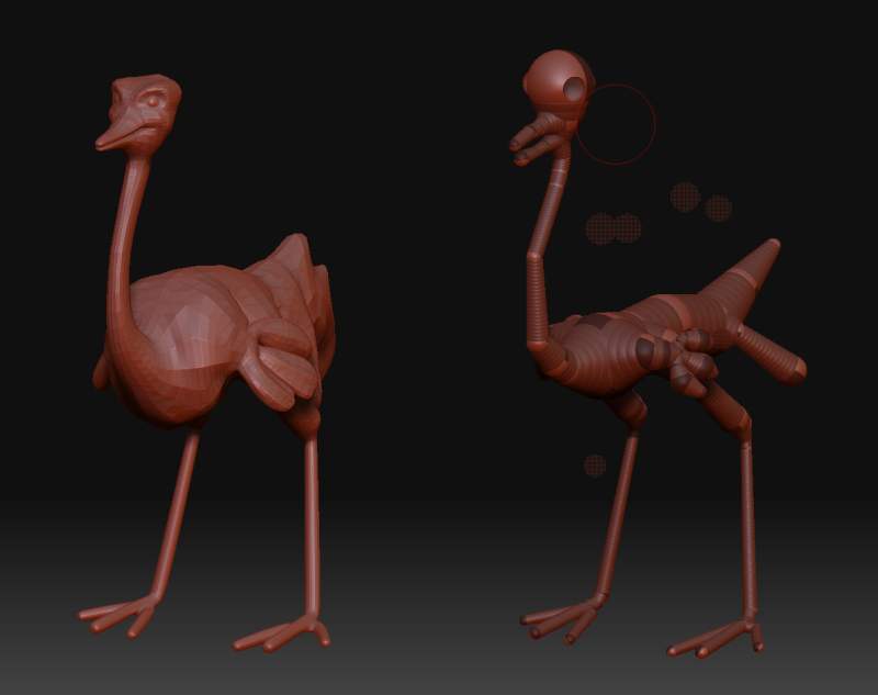 ostrich_zsphere.jpg