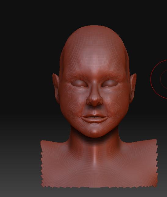 head2_front.JPG