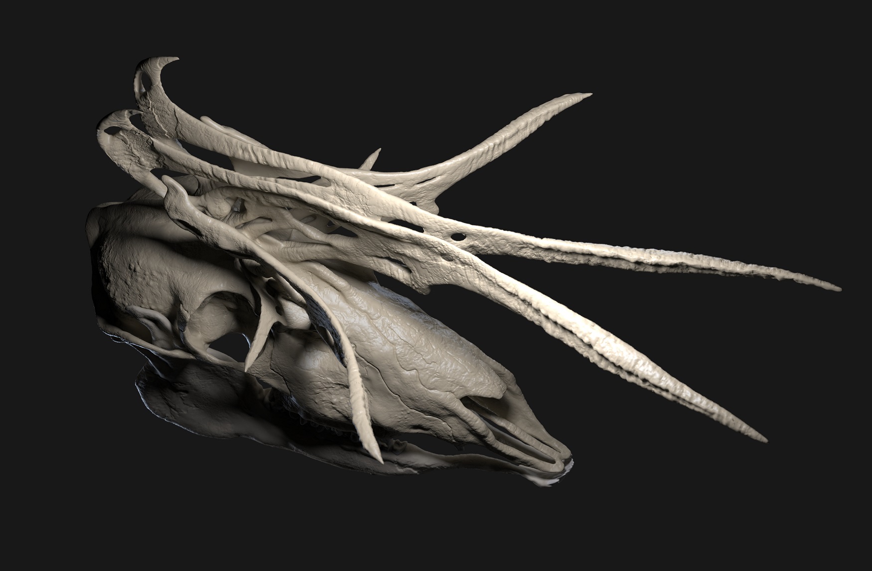 mirus deer.45_small.jpg