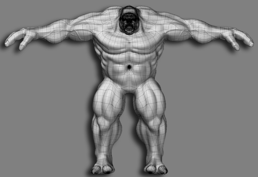 front veiny mesh.jpg