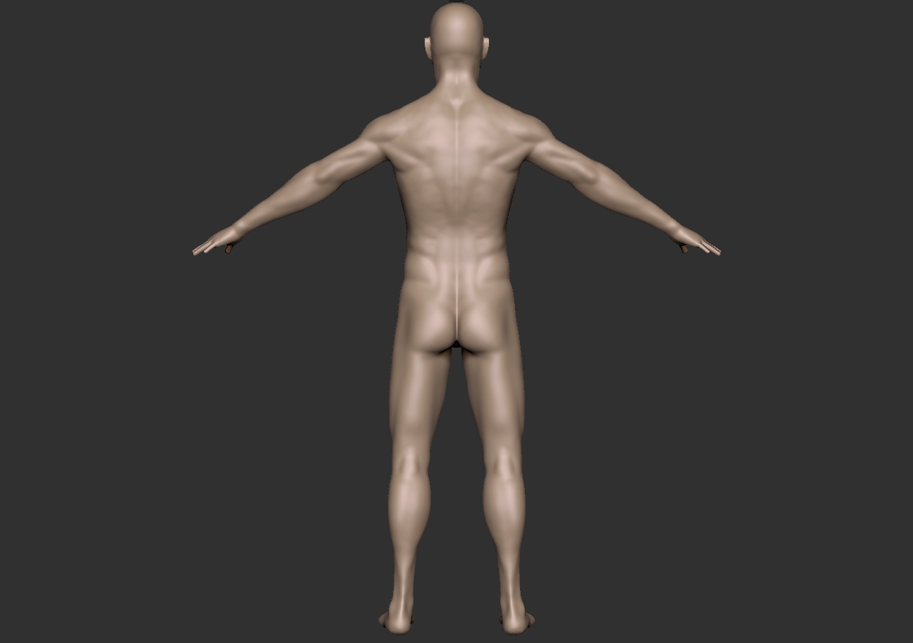 first render_back.jpg