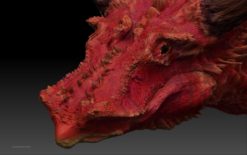 Draak3 (800x503).jpg
