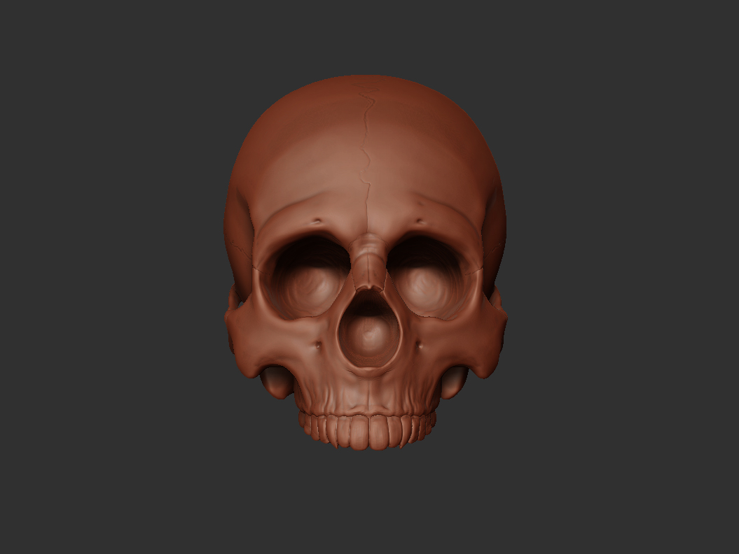 Skull003.jpg