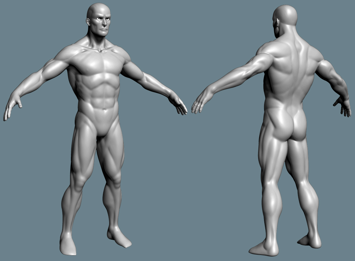 Robs  anatomy practice.jpg