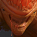 cavecrab thumb.jpg