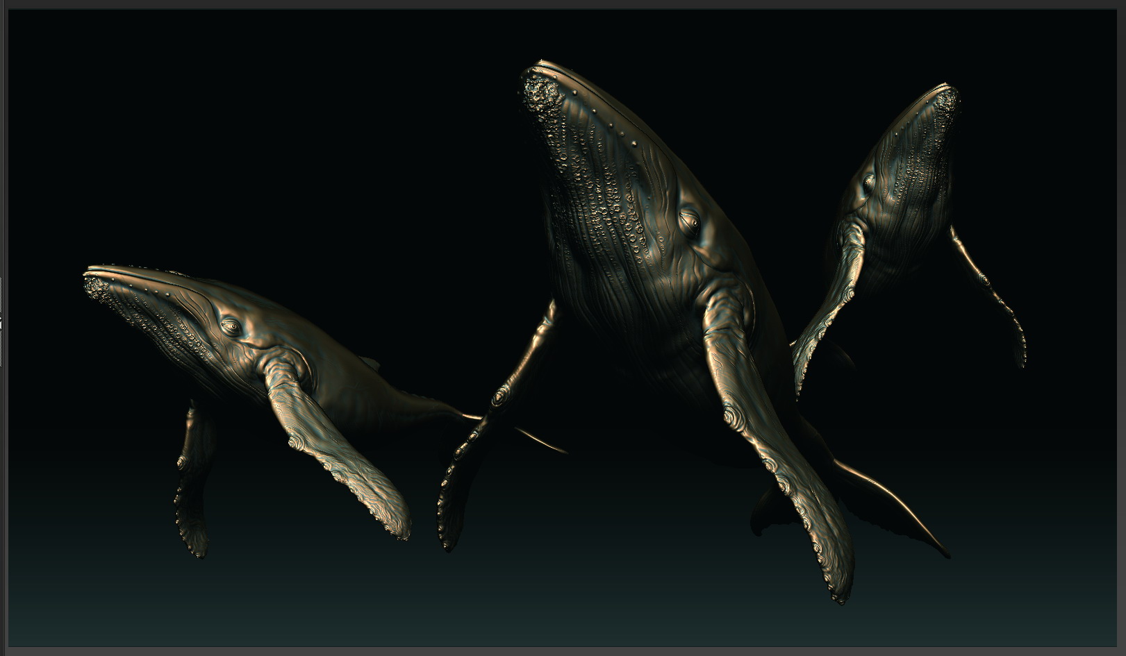 whale2.jpg