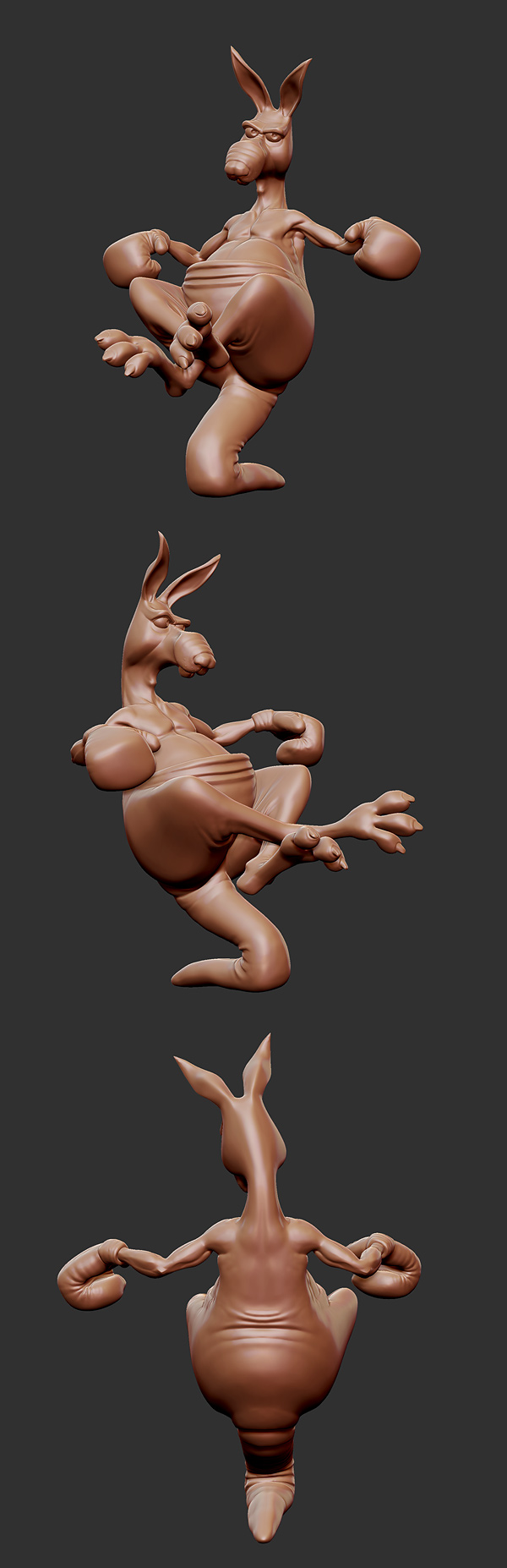 kangaroo_poses.jpg