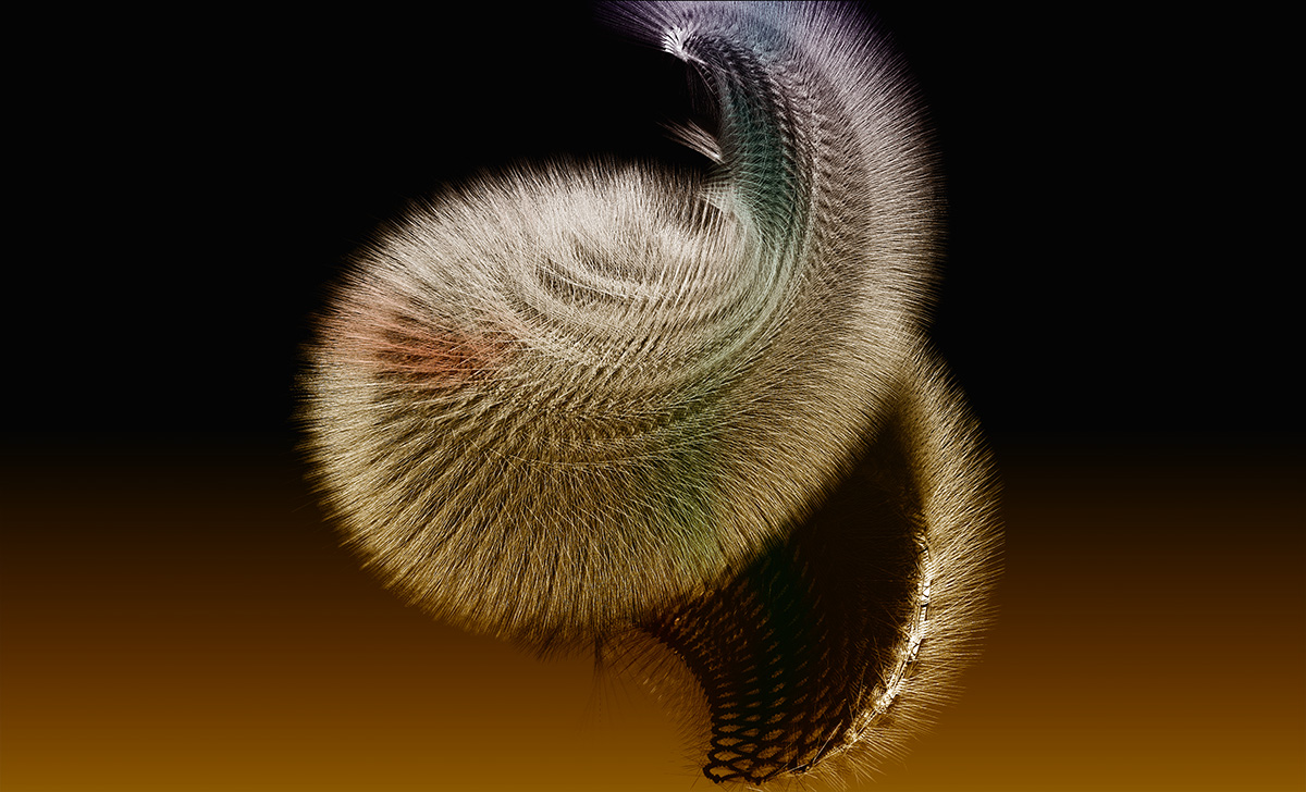 hairSwirl.jpg