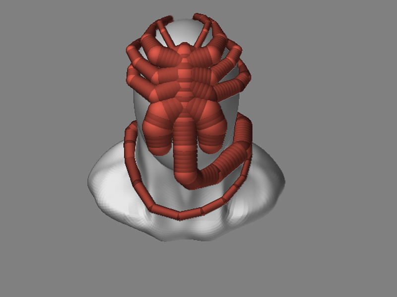 Face Hugger +Testa.jpg