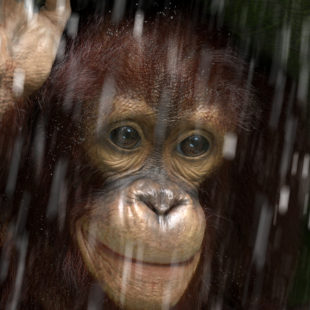 headCloseUp01