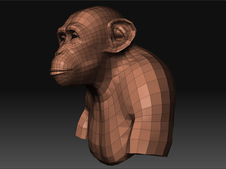 chimpBaseMesh.jpg