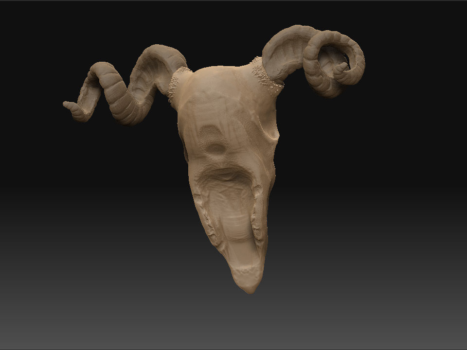 skull_prev2.jpg