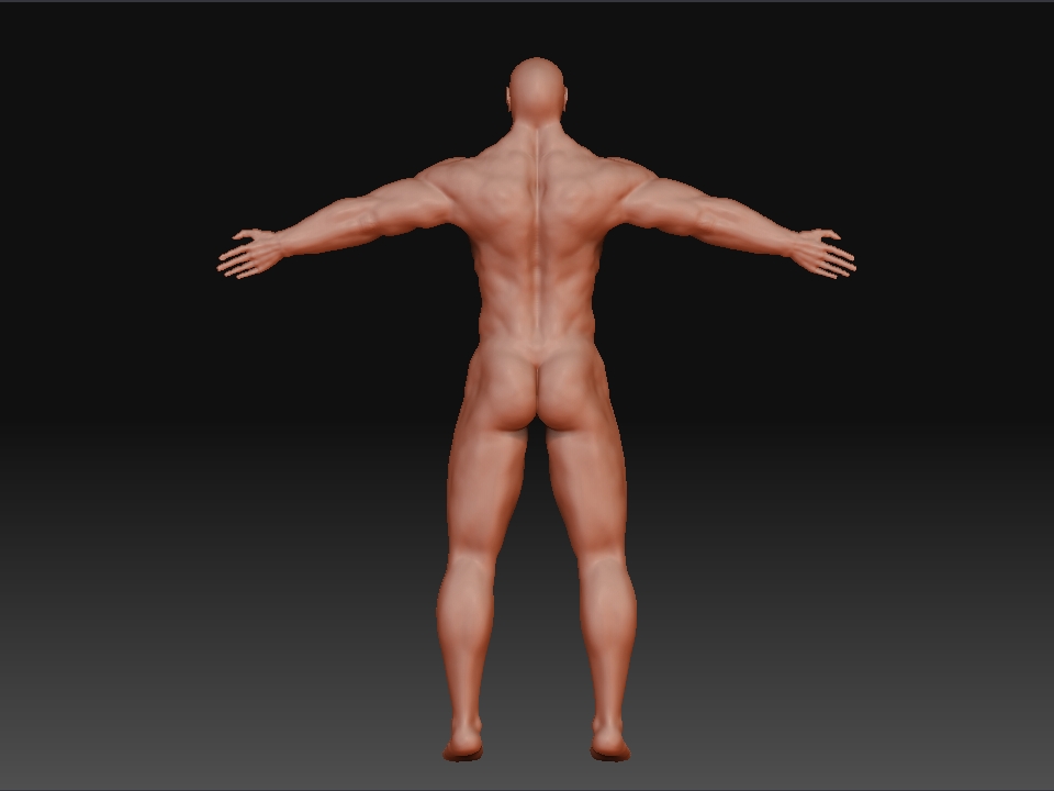 back.JPG