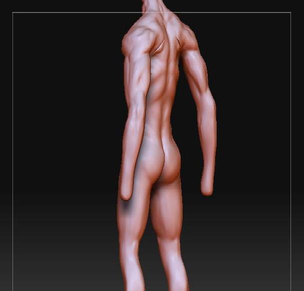 character body 2.jpg