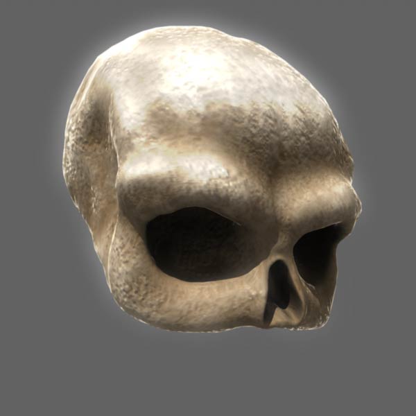 skullrender.jpg