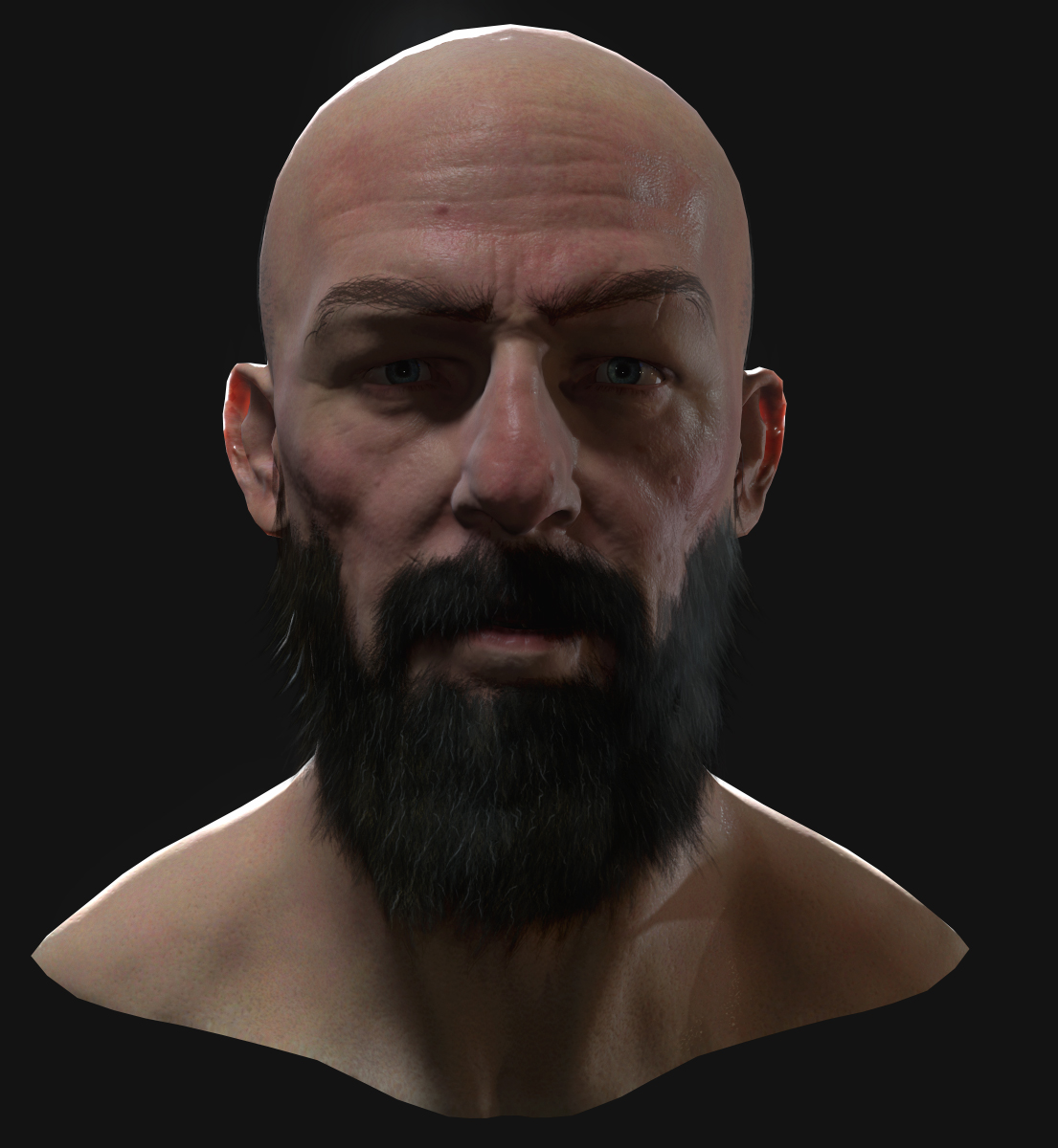 giant_viking_face_Beard02.jpg