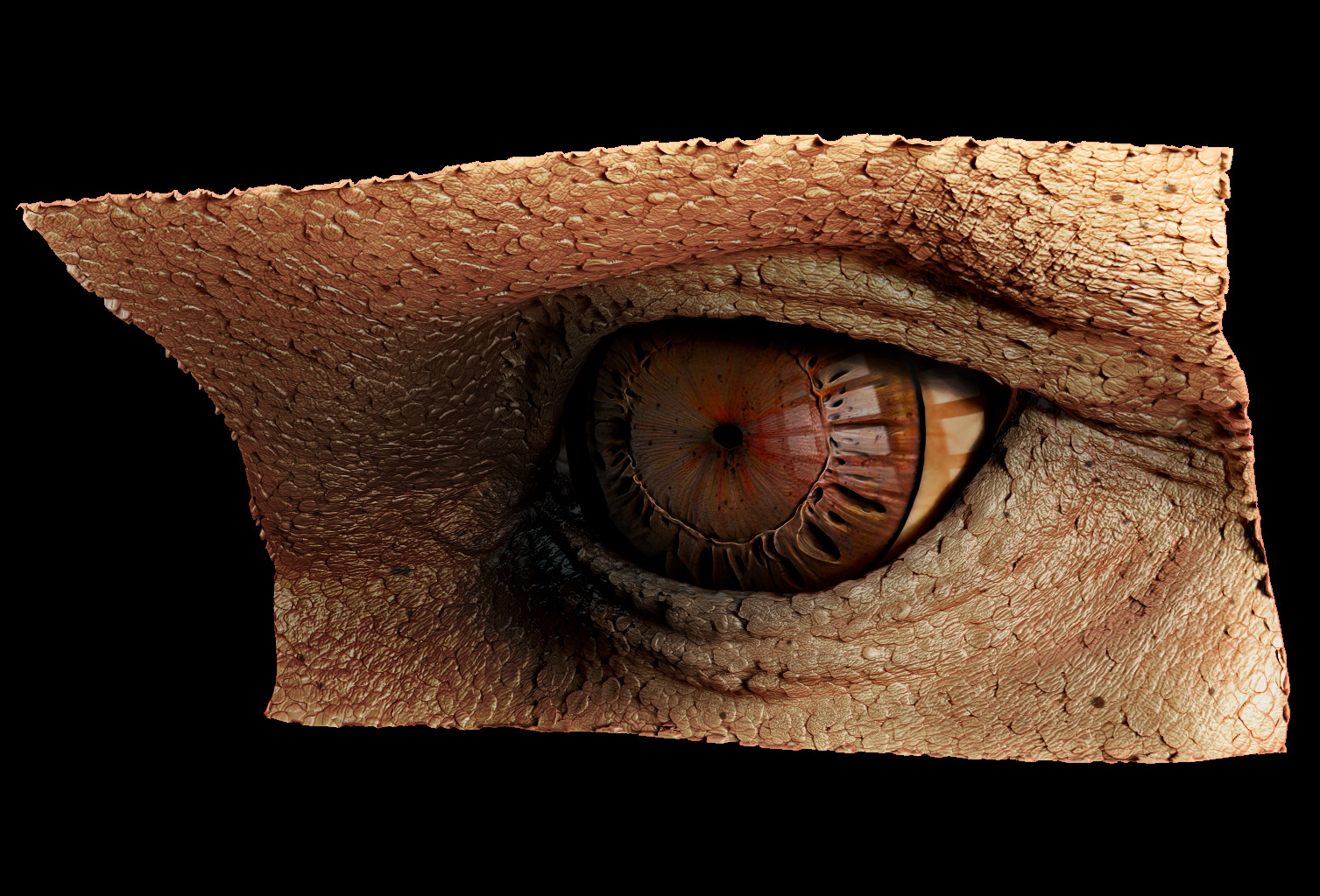 Creature-Eye.jpg