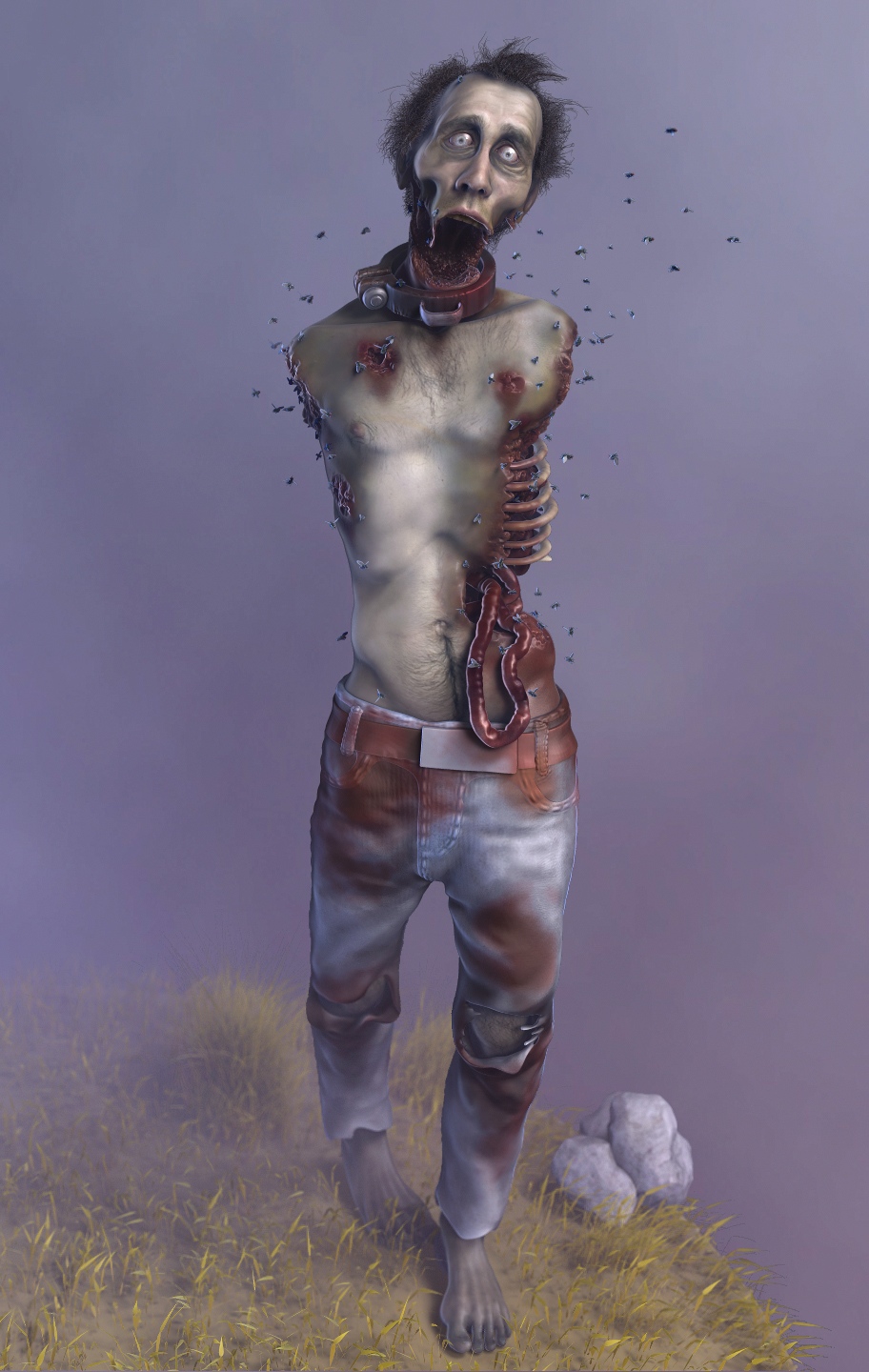 Z_tonto.jpg