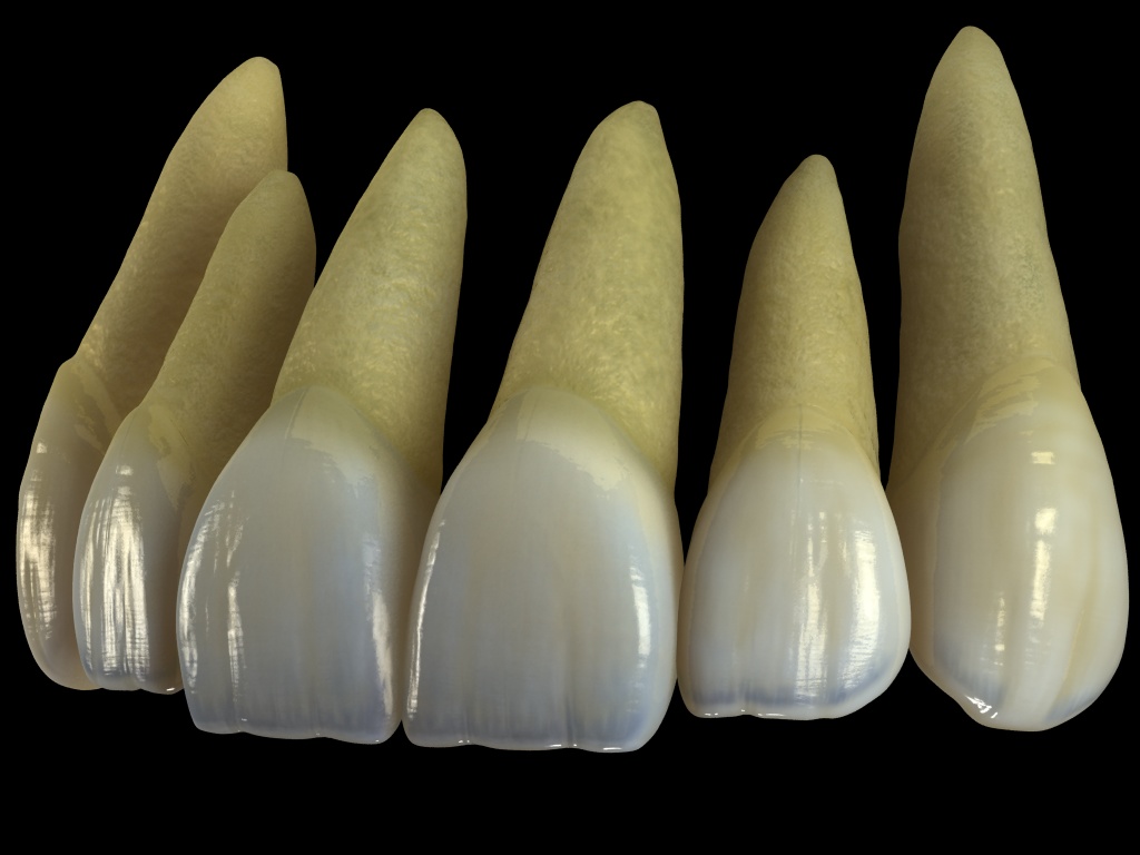 dientes4.jpg