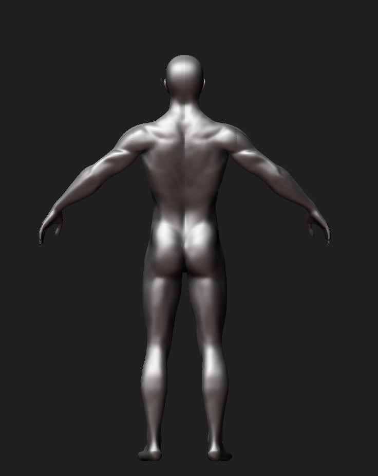 back generic.jpg