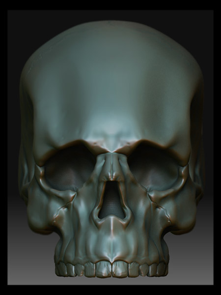 front_1 copy.jpg