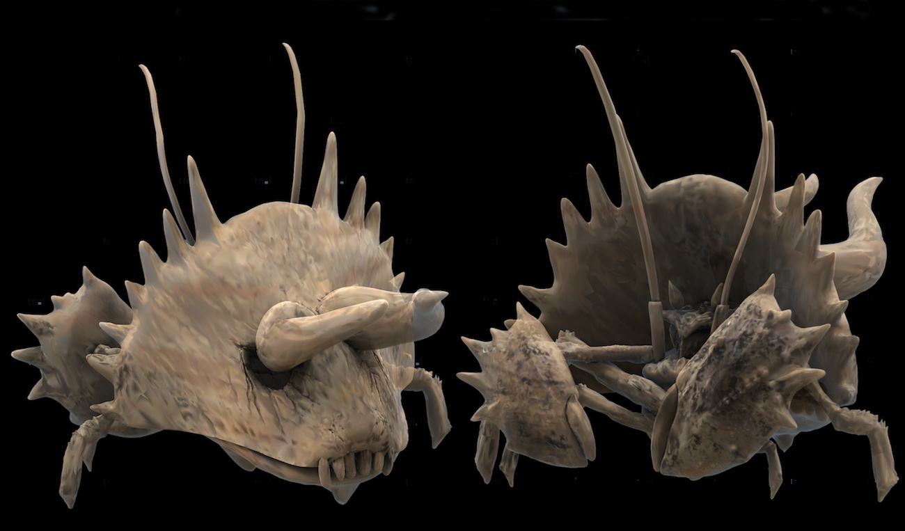 Untitled 2のコピー.jpg