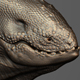 thumb.jpg