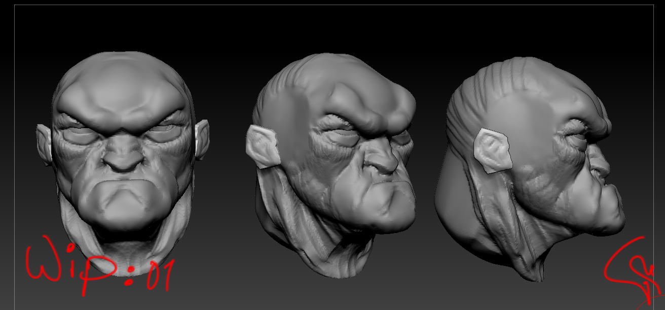 Wip_01.jpg