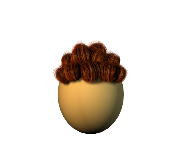 HairTest2.jpg