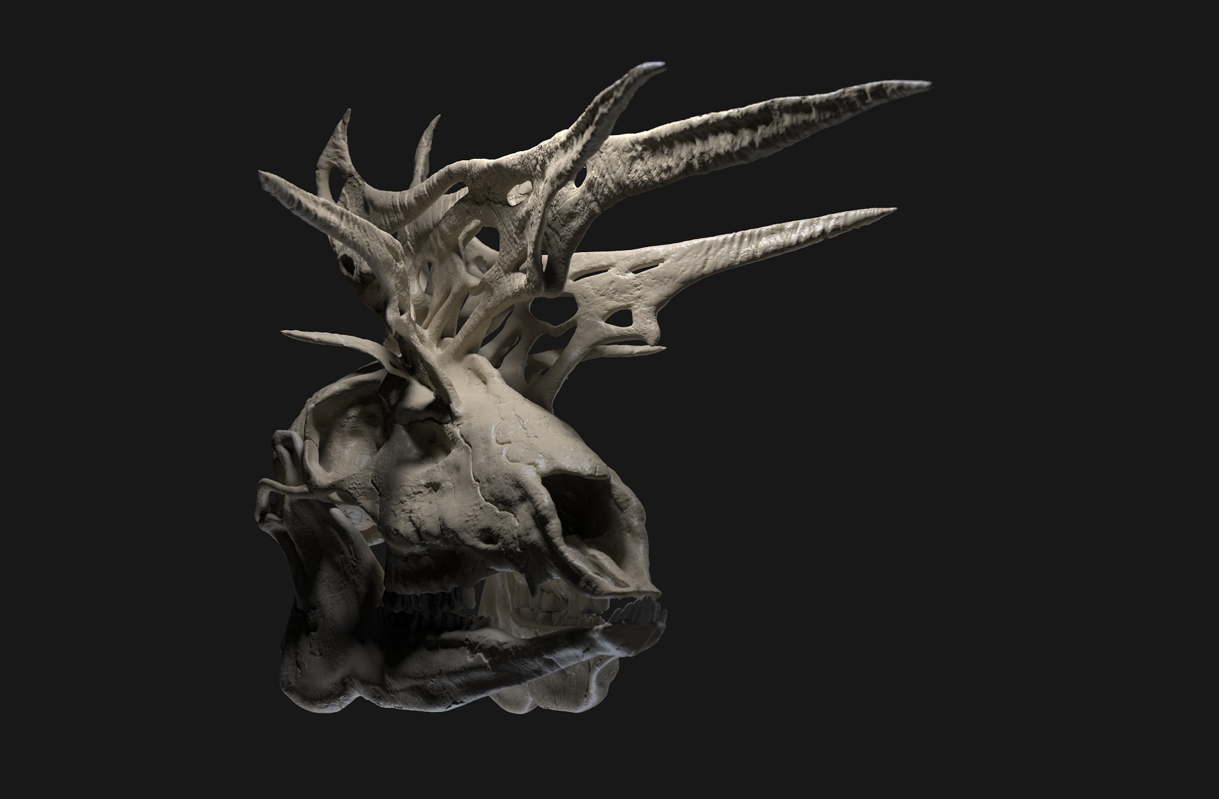 mirus deer.47_small.jpg