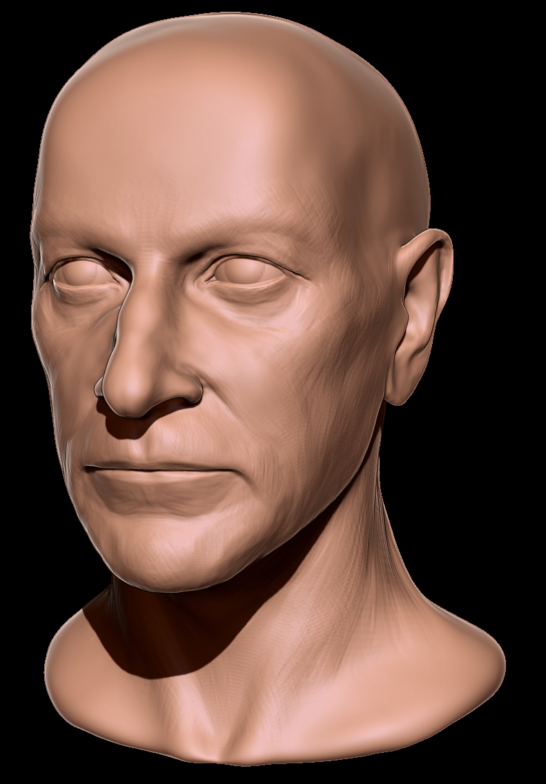 WIP001.jpg